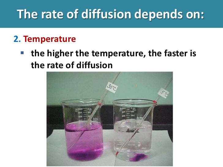 Osmosis, diffusion, active transport