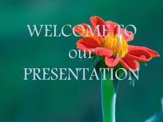 WELCOME TO
our
PRESENTATION
 
