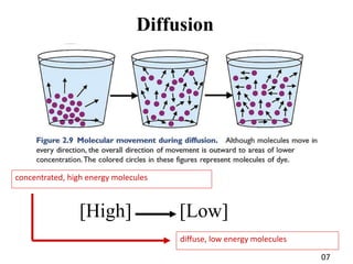 DIFFUSION Datasheet(PDF) - 2SC5121 - Panasonic Semiconductor visual data 7