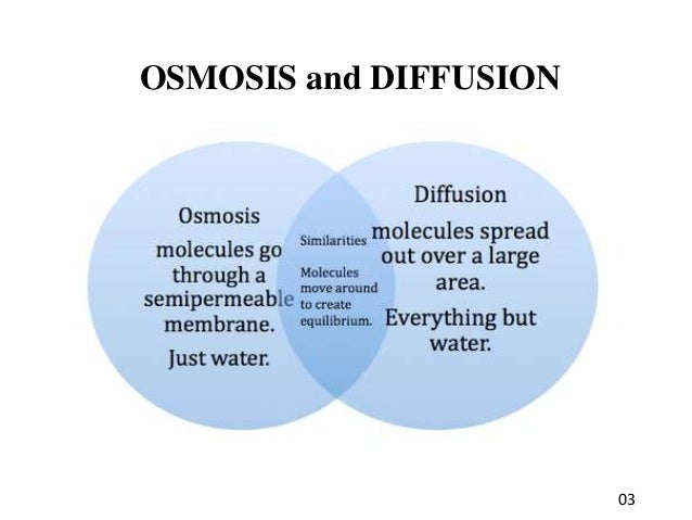 osmosis diffusion presentation create a venn diagram comparing osmosis and diffusion