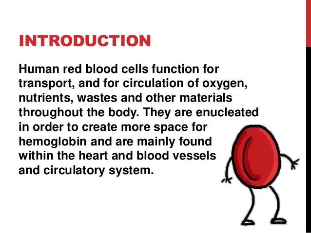 Red blood cells function