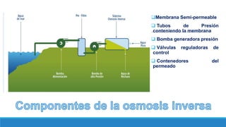 Membrana Semi-permeable
 Tubos de Presión
conteniendo la membrana
 Bomba generadora presión
 Válvulas reguladoras de
control
 Contenedores del
permeado
 