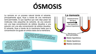 Características y funciones de la membrana de ósmosis inversa - Prodetecs