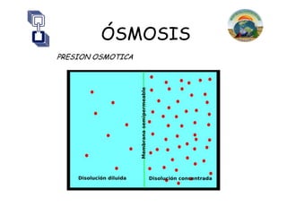ÓSMOSIS
PRESION OSMOTICA
 