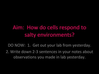 Aim:  How do cells respond to salty environments? DO NOW:  1.  Get out your lab from yesterday. 2. Write down 2-3 sentences in your notes about observations you made in lab yesterday. 