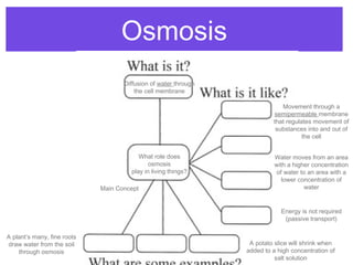 Osmosis lesson ppt