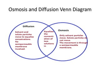 Osmosis and Diffusion Venn Diagram
 