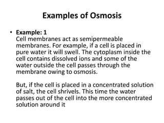 Examples of Osmosis
• Example: 1
Cell membranes act as semipermeable
membranes. For example, if a cell is placed in
pure water it will swell. The cytoplasm inside the
cell contains dissolved ions and some of the
water outside the cell passes through the
membrane owing to osmosis.
But, if the cell is placed in a concentrated solution
of salt, the cell shrivels. This time the water
passes out of the cell into the more concentrated
solution around it
 