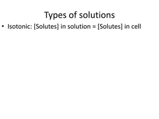 Types of solutions
• Isotonic: [Solutes] in solution = [Solutes] in cell
 