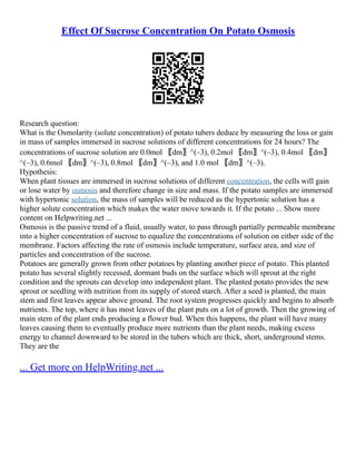 Effect Of Sucrose Concentration On Potato Osmosis
Research question:
What is the Osmolarity (solute concentration) of potato tubers deduce by measuring the loss or gain
in mass of samples immersed in sucrose solutions of different concentrations for 24 hours? The
concentrations of sucrose solution are 0.0mol 〖dm〗^(–3), 0.2mol 〖dm〗^(–3), 0.4mol 〖dm〗
^(–3), 0.6mol 〖dm〗^(–3), 0.8mol 〖dm〗^(–3), and 1.0 mol 〖dm〗^(–3).
Hypothesis:
When plant tissues are immersed in sucrose solutions of different concentration, the cells will gain
or lose water by osmosis and therefore change in size and mass. If the potato samples are immersed
with hypertonic solution, the mass of samples will be reduced as the hypertonic solution has a
higher solute concentration which makes the water move towards it. If the potato ... Show more
content on Helpwriting.net ...
Osmosis is the passive trend of a fluid, usually water, to pass through partially permeable membrane
into a higher concentration of sucrose to equalize the concentrations of solution on either side of the
membrane. Factors affecting the rate of osmosis include temperature, surface area, and size of
particles and concentration of the sucrose.
Potatoes are generally grown from other potatoes by planting another piece of potato. This planted
potato has several slightly recessed, dormant buds on the surface which will sprout at the right
condition and the sprouts can develop into independent plant. The planted potato provides the new
sprout or seedling with nutrition from its supply of stored starch. After a seed is planted, the main
stem and first leaves appear above ground. The root system progresses quickly and begins to absorb
nutrients. The top, where it has most leaves of the plant puts on a lot of growth. Then the growing of
main stem of the plant ends producing a flower bud. When this happens, the plant will have many
leaves causing them to eventually produce more nutrients than the plant needs, making excess
energy to channel downward to be stored in the tubers which are thick, short, underground stems.
They are the
... Get more on HelpWriting.net ...
 