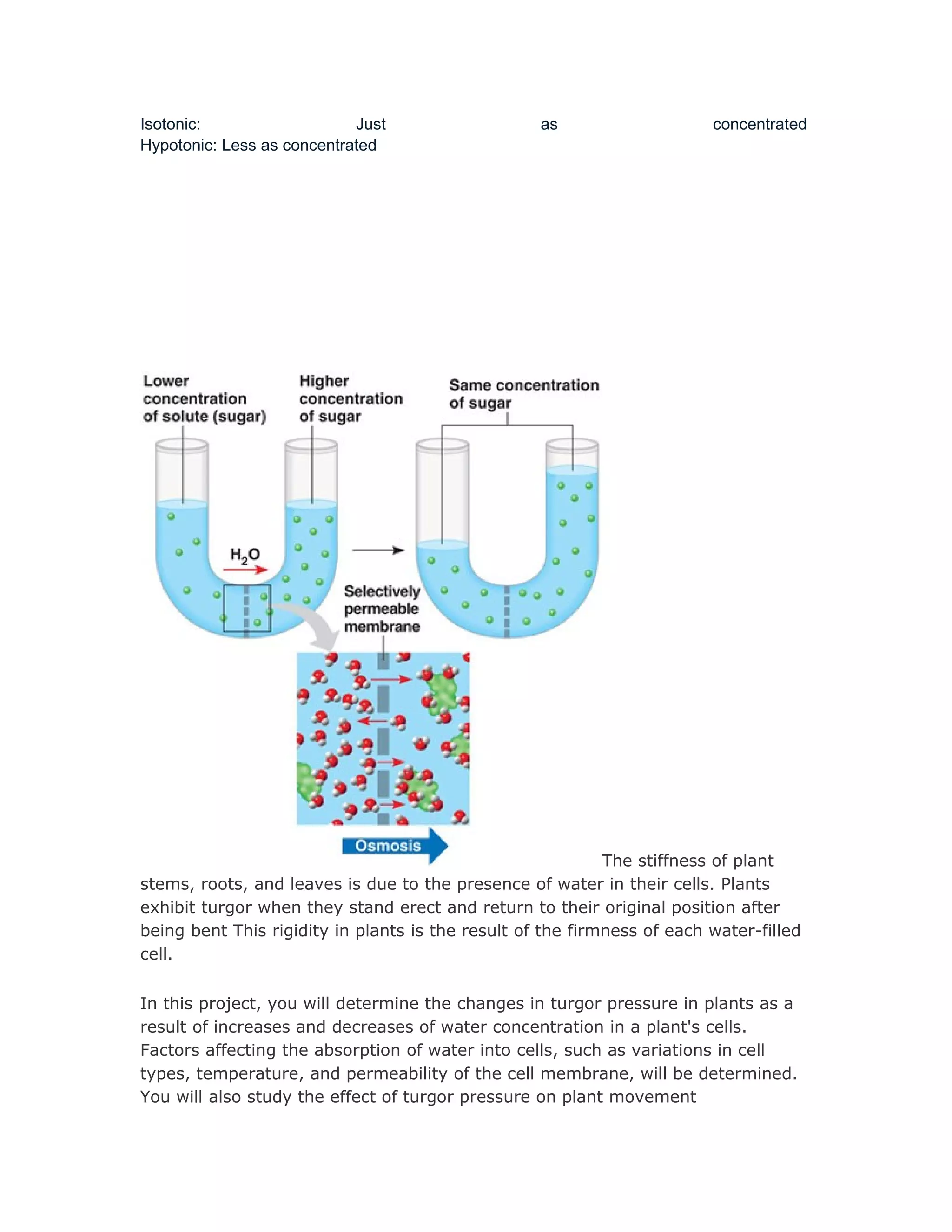 Osmosis project of chemistry | DOC
