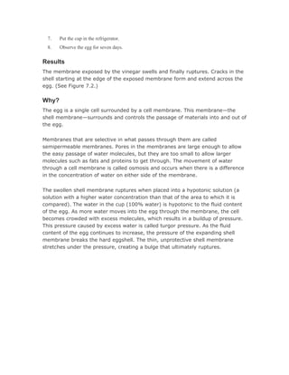Osmosis project of chemistry | DOC