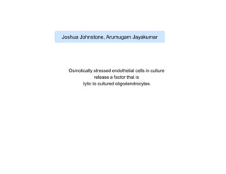 Joshua Johnstone, Arumugam Jayakumar

Osmotically stressed endothelial cells in culture
release a factor that is
lytic to cultured oligodendrocytes.

 