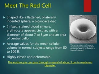 Osmotic fragility & rbc membrane defects 050916 | PPTX