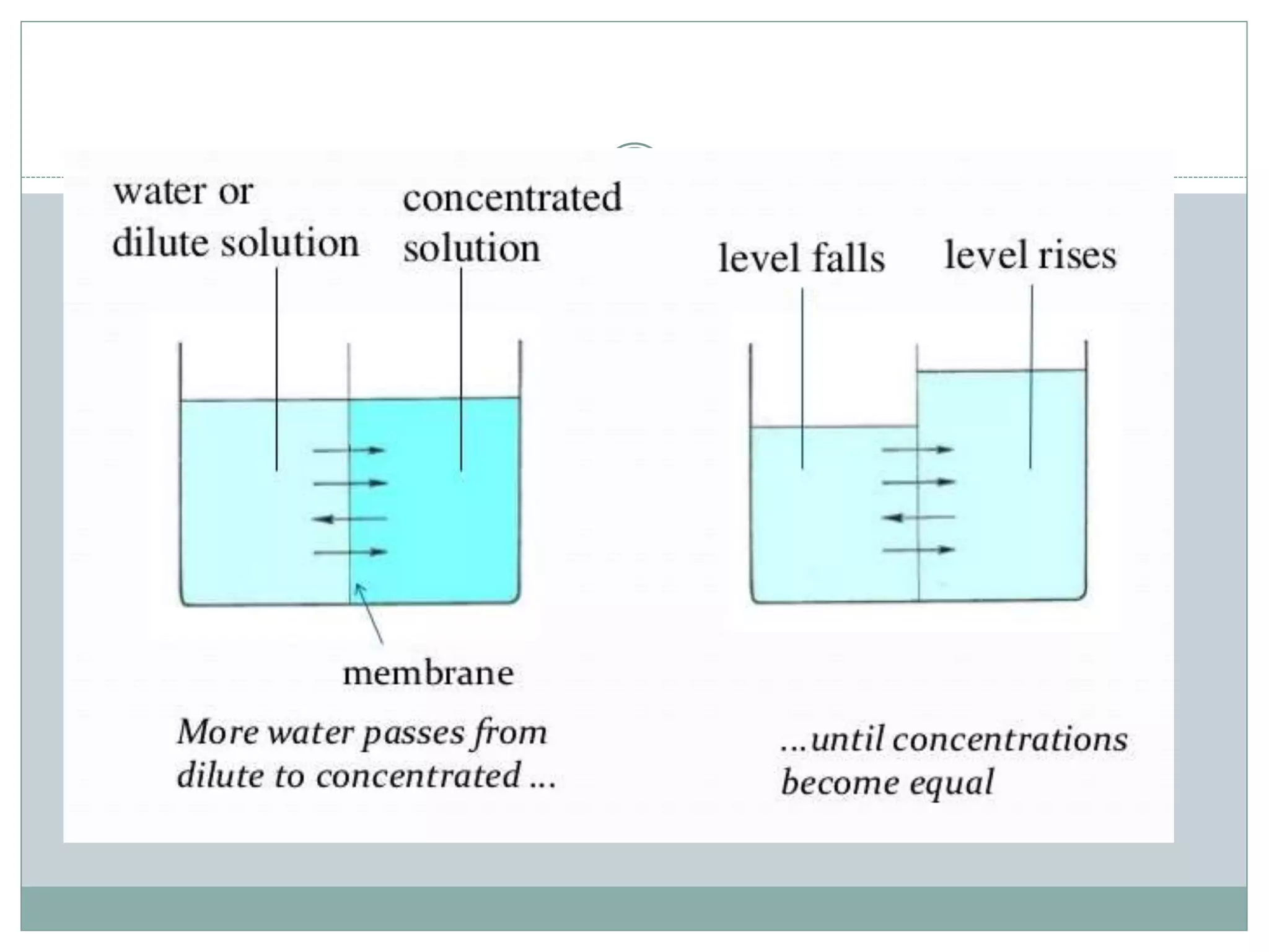 Osmotic methods for food preservation PPT