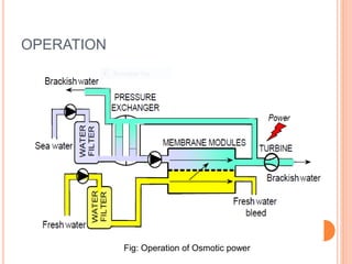 OPERATION
Fig: Operation of Osmotic power
 
