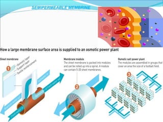 SEMIPERMEABLE MEMBRINE
 