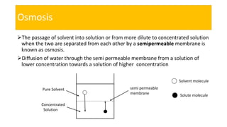 Osmosis
The passage of solvent into solution or from more dilute to concentrated solution
when the two are separated from each other by a semipermeable membrane is
known as osmosis.
Diffusion of water through the semi permeable membrane from a solution of
lower concentration towards a solution of higher concentration
Pure Solvent
Concentrated
Solution
semi permeable
membrane
Solvent molecule
Solute molecule
 