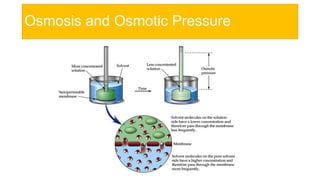Osmosis and Osmotic Pressure
 
