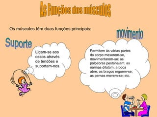 Os músculos têm duas funções principais:
Ligam-se aos
ossos através
de tendões e
suportam-nos.
Permitem às várias partes
do corpo mexerem-se,
movimentarem-se: as
pálpebras pestanejam; as
narinas dilatam; a boca
abre; os braços erguem-se;
as pernas movem-se; etc.
 