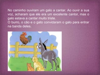 No caminho ouviram um galo a cantar. Ao ouvir a sua
voz, acharam que ele era um excelente cantor, mas o
galo estava a cantar muito triste.
O burro, o cão e o gato convidaram o galo para entrar
na banda deles.
 