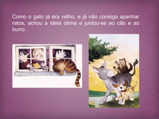 Como o gato já era velho, e já não consiga apanhar
ratos, achou a ideia ótima e juntou-se ao cão e ao
burro.
 