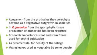  Apogamy – from the prothallus the sporophyte
develop as a vegetative outgrowth in some sps
 In O.javanica from the sporophytic tissue
production of antheridia has been reported
 Economic importance- root and stem fibres
used for orchid cultivation
 As ornamentals- for beauty of the foliage
 Young leaves used as vegetable by some people
 