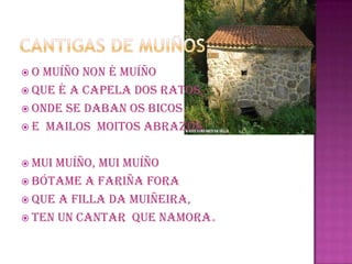 CANTIGAS DE MUIÑOSO MUÍÑO NON É MUÍÑOQUE É A CAPELA DOS RATOS,ONDE SE DABAN OS BICOS E  MAILOS  MOITOS ABRAZOS.MUI MUÍÑO, MUI MUÍÑOBÓTAME A FARIÑA FORAQUE A FILLA DA MUIÑEIRA,TEN UN CANTAR  QUE NAMORA.