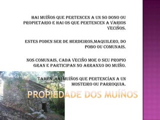 HAI MUÍÑOS QUE PERTENCEN A UN SO DONO OU PROPIETARIO E HAI OS QUE PERTENCEN A VARIOS VECIÑOS.ESTES PODEN SER DE HERDEIROS,MAQUILERO, DO POBO OU COMUNAIS.NOS COMUNAIS, CADA VECIÑO MOE O SEU PROPIO GRAN E PARTICIPAN NO ARRANXO DO MUÍÑO.Taménhaimuíños que pertencían a un mosteiroou parroquia.PROPIEDADE DOS MUÍÑOS