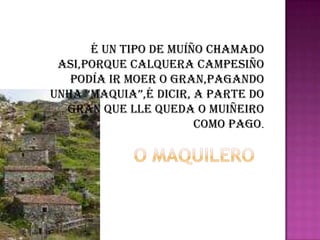 É UN TIPO DE MUÍÑO CHAMADO ASI,PORQUE CALQUERA CAMPESIÑO PODÍA IR MOER O GRAN,PAGANDO UNHA “MAQUIA”,É DICIR, A PARTE DO GRAN QUE LLE QUEDA O MUIÑEIRO COMO PAGO.O MAQUILERO