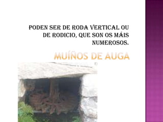 MUÍÑOS DE AUGAPODEN SER DE RODA VERTICAL OU DE RODICIO, QUE SON OS MÁIS NUMEROSOS.