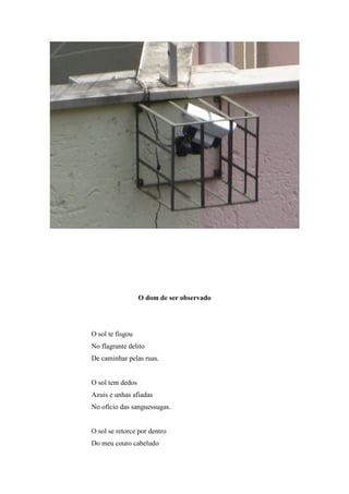 O dom de ser observado




O sol te fisgou
No flagrante delito
De caminhar pelas ruas.


O sol tem dedos
Azuis e unhas afiadas
No ofício das sanguessugas.


O sol se retorce por dentro
Do meu couro cabeludo
 