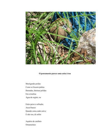 O pensamento parece uma coisa à toa




Mastigando perdas
Como se fossem pedras
Dentadas, lâminas polidas
Em cristalina
Água de esgoto, ou


Entre peixe e refração,
Anzol banzo
Quando estou onde estive
E não sou, & enfim


Aquário de canibais
Ornamentais
 