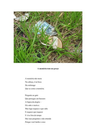 A memória tem seu preço




A memória não mora
Na cabeça, é na boca
Do estômago
Que se come a memória.


Pergunte ao gato
Que persegue um besouro
A lógica da alegria –
Ele sabe o motivo.
Mas logo esquece o que sabe
E esquece que esquece
E vive fora do tempo
Das suas perguntas e não entende
Porque você lambe o osso
 