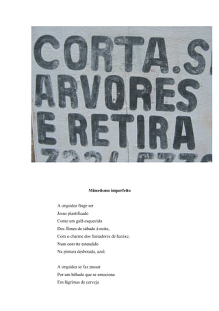 Mimetismo imperfeito


A orquídea finge ser
Jesus plastificado
Como um galã esquecido
Dos filmes de sábado à noite,
Com o charme dos fumadores de haxixe,
Num convite estendido
Na pintura desbotada, azul.


A orquídea se faz passar
Por um bêbado que se emociona
Em lágrimas de cerveja
 
