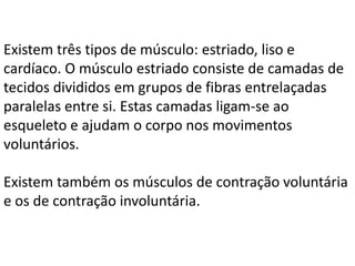 Existem três tipos de músculo: estriado, liso e
cardíaco. O músculo estriado consiste de camadas de
tecidos divididos em grupos de fibras entrelaçadas
paralelas entre si. Estas camadas ligam-se ao
esqueleto e ajudam o corpo nos movimentos
voluntários.
Existem também os músculos de contração voluntária
e os de contração involuntária.

 
