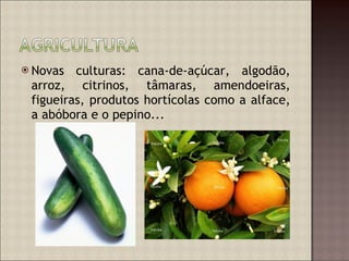 Novas culturas: cana-de-açúcar, algodão, arroz, citrinos, tâmaras, amendoeiras, figueiras, produtos hortícolas como a alface, a abóbora e o pepino... 