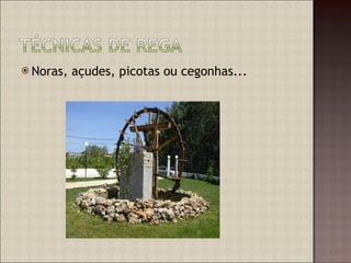 Noras, açudes, picotas ou cegonhas... 