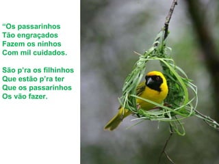 “ Os passarinhos Tão engraçados Fazem os ninhos Com mil cuidados. São p’ra os filhinhos Que estão p’ra ter Que os passarinhos Os vão fazer. 