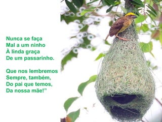 Nunca se faça
Mal a um ninho
À linda graça
De um passarinho.
Que nos lembremos
Sempre, também,
Do pai que temos,
Da nossa mãe!”
 