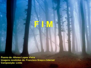 Poema de: Afonso Lopes Vieira
Imagens recebidas de: Francisca Graça e Internet
Composição: Linito
F I M
 