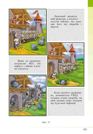 Якщо до організму
потрапляє ВІЛ, він
інфікує і вбиває кліти­
ни імунітету.
Людський організм —
ніби фортеця, а імунітет —
могутнє військо, яке захи­
щає його від мікробів і
вірусів.
Коли імунітет зруйнова­
но, починається СНІД
остання стадія хвороби, на
якій людина може померти
від будь-якої інфекції.
Мал. 71
121
 