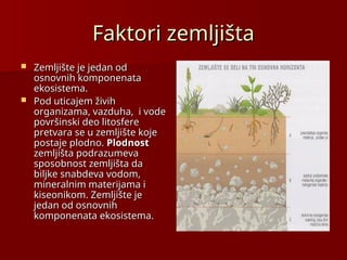 Faktori zemljišta
Faktori zemljišta
 Zemljište je jedan od
Zemljište je jedan od
osnovnih komponenata
osnovnih komponenata
ekosistema.
ekosistema.
 Pod uticajem živih
Pod uticajem živih
organizama, vazduha, i vode
organizama, vazduha, i vode
površinski deo litosfere
površinski deo litosfere
pretvara se u zemljište koje
pretvara se u zemljište koje
postaje plodno.
postaje plodno. Plodnost
Plodnost
zemljišta podrazumeva
zemljišta podrazumeva
sposobnost zemljišta da
sposobnost zemljišta da
biljke snabdeva vodom,
biljke snabdeva vodom,
mineralnim materijama i
mineralnim materijama i
kiseonikom. Zemljište je
kiseonikom. Zemljište je
jedan od osnovnih
jedan od osnovnih
komponenata ekosistema.
komponenata ekosistema.
 
