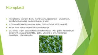 Hloroplasti
 Hloroplasti su obavijeni dvema membranama, spoljašnjom i unutrašnjom,
između kojih se nalazi međumembranski prostor.
 U ćelijama biljaka hloroplasta u jednoj ćeliji mođe biti od 20 pa do 60.
 Veruje se da hloroplast potiče iz cijanobakterija.
 Ovu teoriju je prvi postavio Konstantin Mereškovski 1905. godine nakon ranijih
Šimperovih proučavanja iz 1883. godine u kojima je primetio sličnost
hloroplasta i cijanobakterija.
 