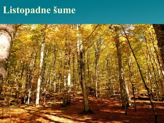 Listopadne šume
 