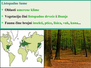 Listopadne šume
Oblasti umerene klime
Vegetaciju čini listopadno drveće i žbunje
Faunu čine brojni insekti, ptice, lisica, vuk, kuna...
 