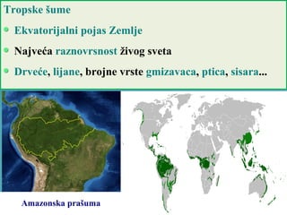 Tropske šume
Ekvatorijalni pojas Zemlje
Najveća raznovrsnost živog sveta
Drveće, lijane, brojne vrste gmizavaca, ptica, sisara...
Amazonska prašuma
 