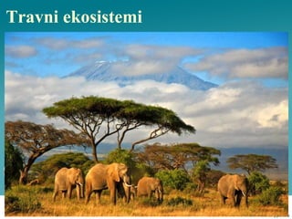 Travni ekosistemi
 