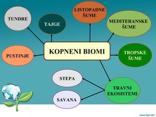 KOPNENI BIOMI
TUNDRE
TAJGE
LISTOPADNE
ŠUME
MEDITERANSKE
ŠUME
TRAVNI
EKOSISTEMI
TROPSKE
ŠUME
PUSTINJE
STEPA
SAVANA
 