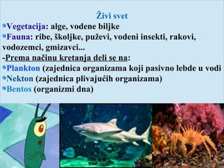 Živi svet
Vegetacija: alge, vodene biljke
Fauna: ribe, školjke, puževi, vodeni insekti, rakovi,
vodozemci, gmizavci...
-Prema načinu kretanja deli se na:
Plankton (zajednica organizama koji pasivno lebde u vodi
Nekton (zajednica plivajućih organizama)
Bentos (organizmi dna)
 